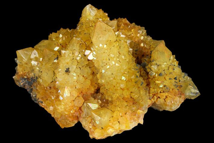 Sunshine Cactus Quartz Crystal Cluster - South Africa #132891